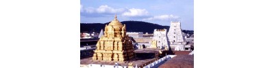 075. திருவேங்கடம்